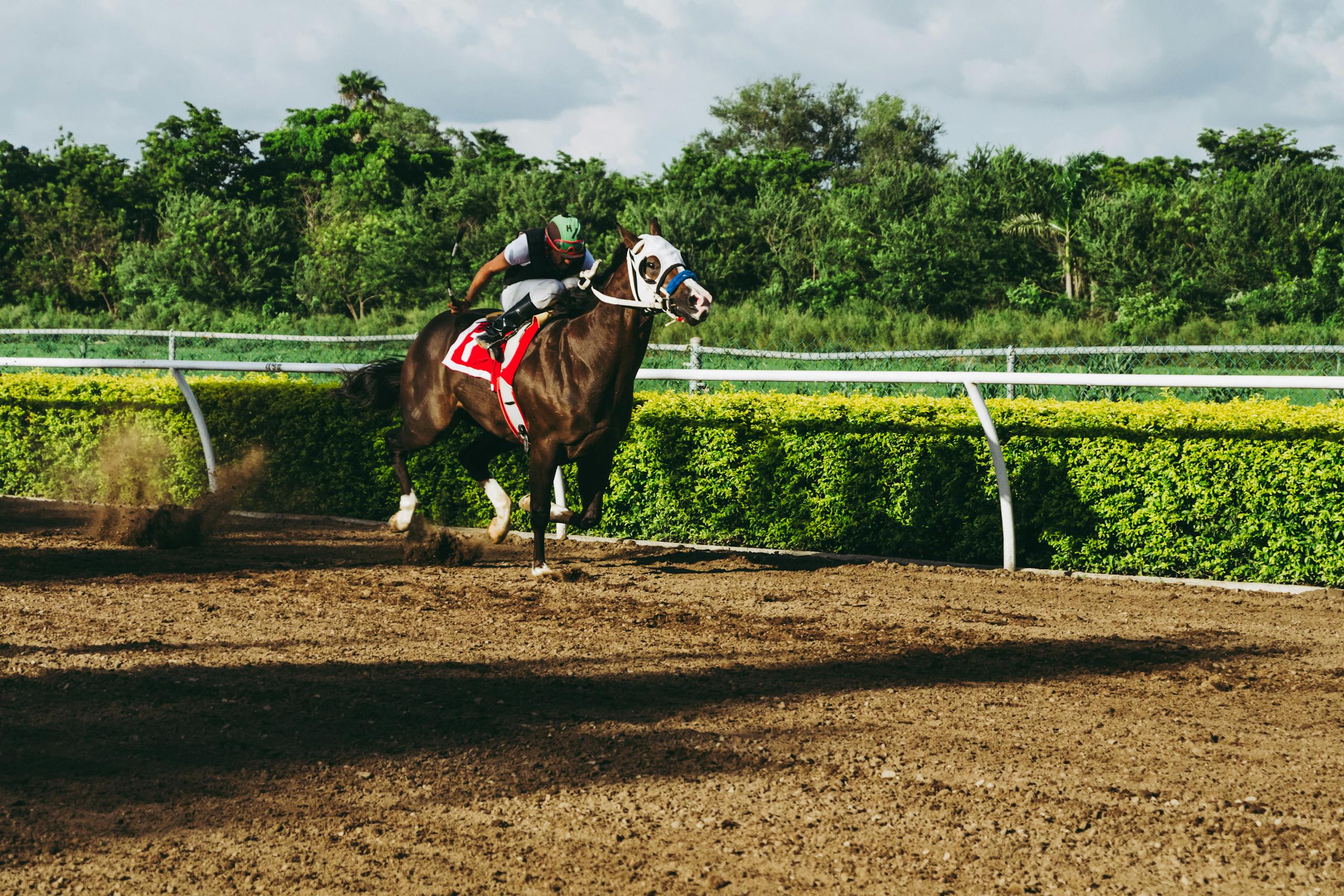 Photo by Jose Ricardo Barraza Morachis - Racing Fans Exciting horse racing action with a jockey during the day outdoors on the track.