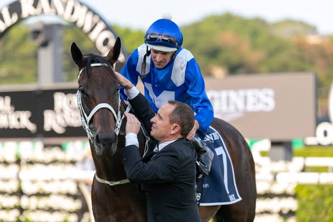 RacingFans News Chris Waller - Racing Fans RacingFans News Chris Waller